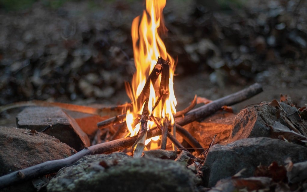 Starting a Fire Using Wet Wood | The Survival Guide