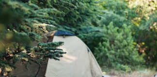 Greyman Camping: How to Camouflage Your Site