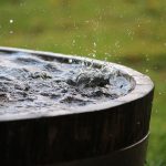 Survival Garden: How to Build a Rainwater Collection System