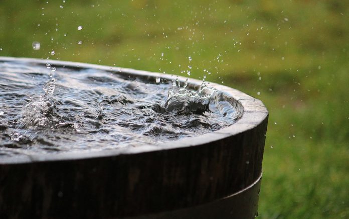 Survival Garden: How to Build a Rainwater Collection System