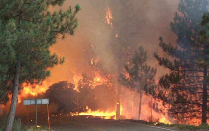 200 Campers Rescued By Military Helicopters 200 Campers Rescued By Military Helicopters