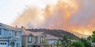 Wildfires: Clearing the Air You Breathe