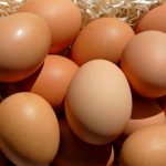 Food-Preservation-Water-Glassing-Eggs