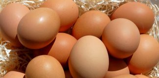 Food-Preservation-Water-Glassing-Eggs