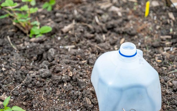 3 Ways to Repurpose Plastic Milk Jugs