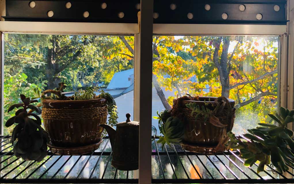 Is That a Window Box Solar Heater or Sun Oven? The Survival Guide