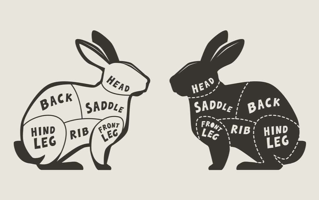 The Skill of Butchering a Rabbit The Survival Guide