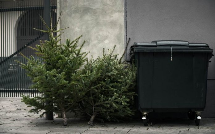 Christmas Tree Disposal