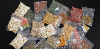 How To Start Your Own Seed Bank