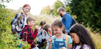 Develop Children’s Survival Skills With These Fun Family Games