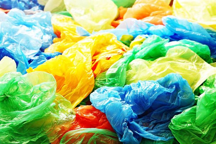 Plastic Bags, It's Your Time to Shine!
