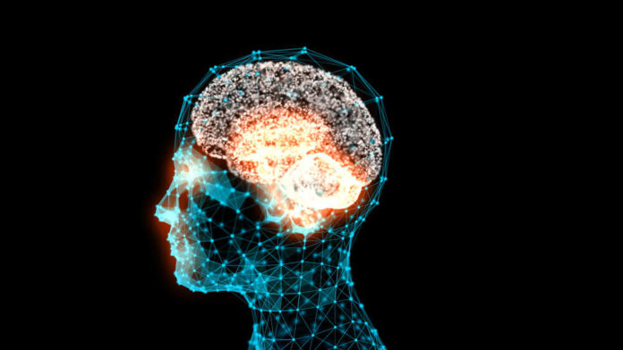 Transparent,Human,Head,With,A,Brain,In,3d,Space.,Blue